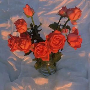 麻麻被黑人灌满精
